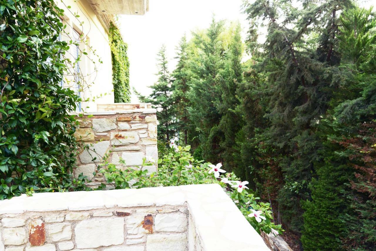 Blueline Guesthouse Agios Dimitrios  Zimmer foto